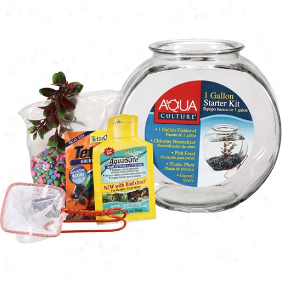 Anchor Hocking Company Premium Fishbowl Starter Kit, 1ct