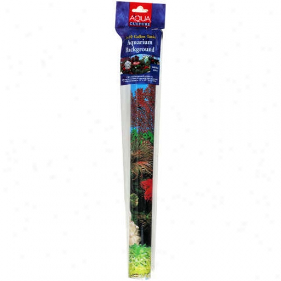 Aqua Culture: Aquarium Two-sided Background, 1 Pk