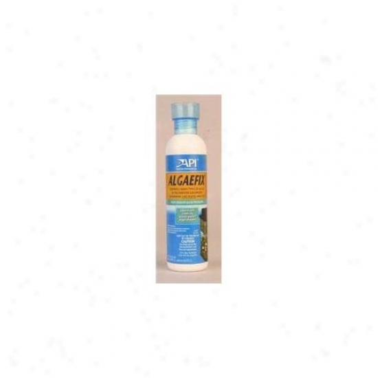 Aquarium Pharmaceuticals Aap87d Algae Fix 8oz Bottle