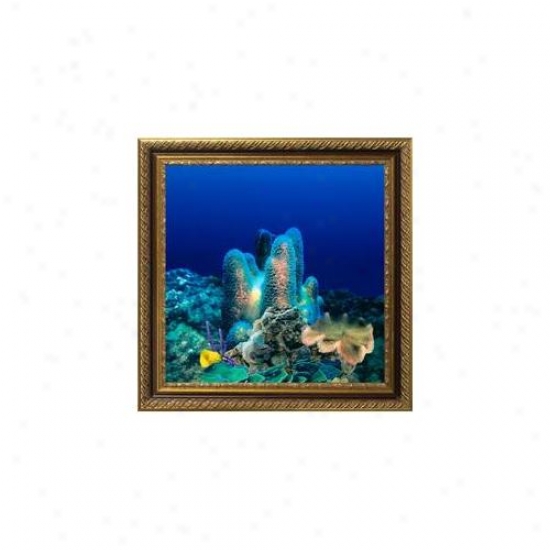Aquavista Av500crbali Wall-mounted Aquarium Av 500 Coral Reef Background With Libraa Frame