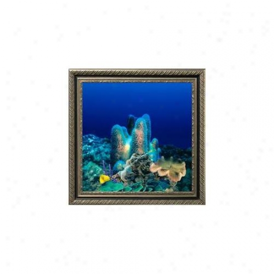 Aquavista Av500crbavi Wall-mounted Aquarium Av 500 Coral Reef Background With Virgo Frame