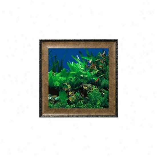 Aquavista Av500sbale Wall-mounted Aquarium Av 500 Seaweed Background With Leo Frame