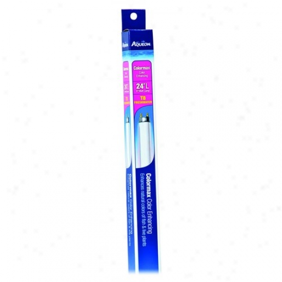 Aqueon Supplies 00451 Aqueon Colormax T8 Lamp