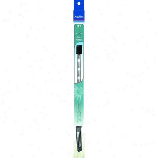 Aqueon Supplies 15619 Aqueon Appointed time White Led Lamp