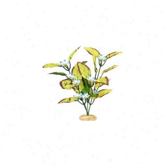 Blue Ribbon Pet Products Ablcb204yw Flowering Willow