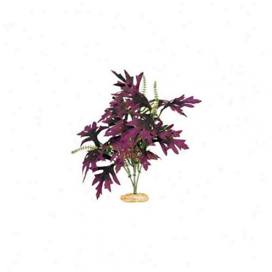 Melancholy Ribbno Pet Products Ablcb205pl Planf Amazom Butterfy Leaf Petty Plum