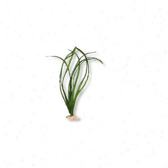 Blue Ribbon Pet Products Ablcb517gr Plant - Narrow Eel Grass Xl Green