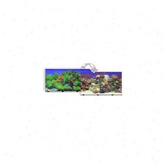 Blue Ribbon Pet Products Ablvsb1524 Background 24 Inch X 50 Ft.  Coral Reef-fw Garden