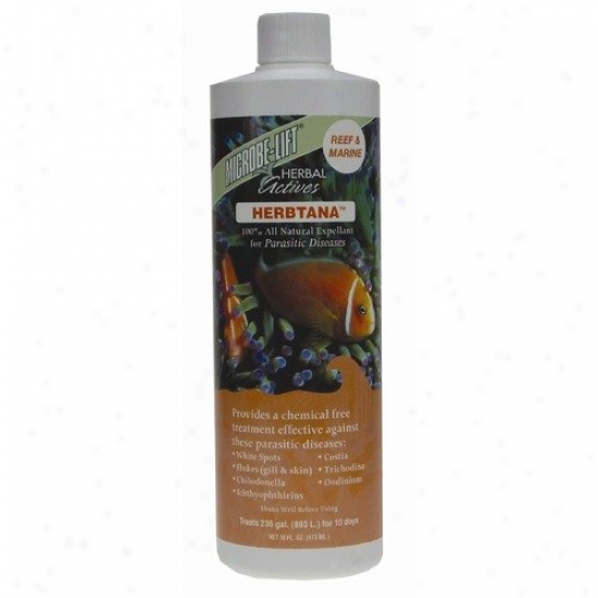Ecological Lbzoratories Herbtana Saltwater Formula