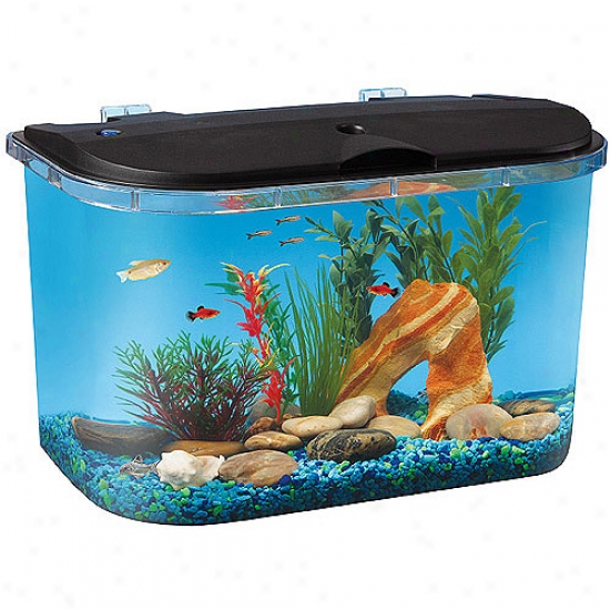 Hawkeye 5 Gallon Startr Aquarium Kit With Led Lighting