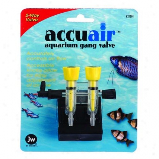 Jw 0421201/21201 Accuair 2-way Gang Valve