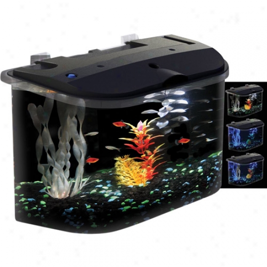 Koller-craft Glofish 5 Gal Aquarium Kit In the opinion of Led Lighting And Internal Filter