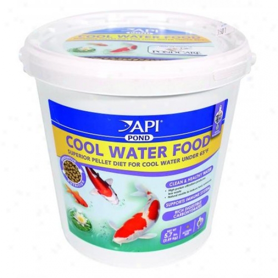 Mars Fishcare 197e Api Pond - Cool Water Food