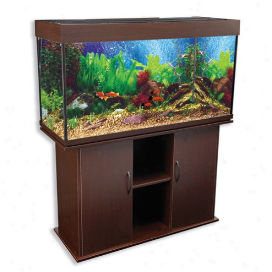 Penn Plax Delta Queen V Rectangular Aquarium And Stand