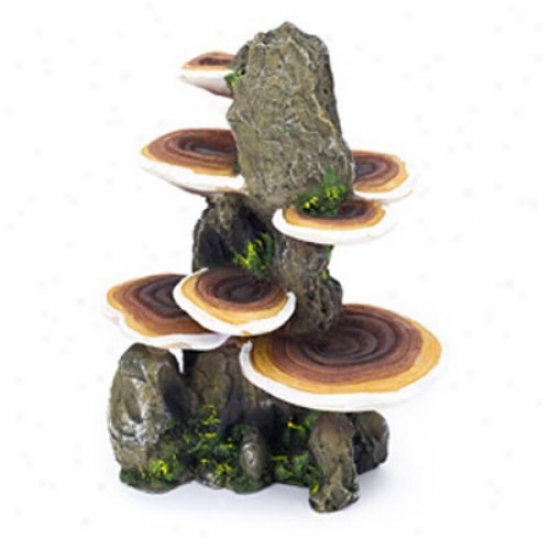 Penn Plxa Mushrooms On Rock Aquarium Drcor - Medium