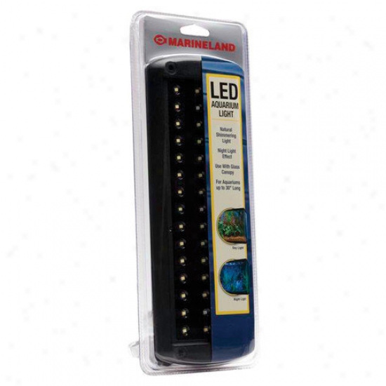 Perfecto Manufacturing Aquarium Led Light Body of lawyers