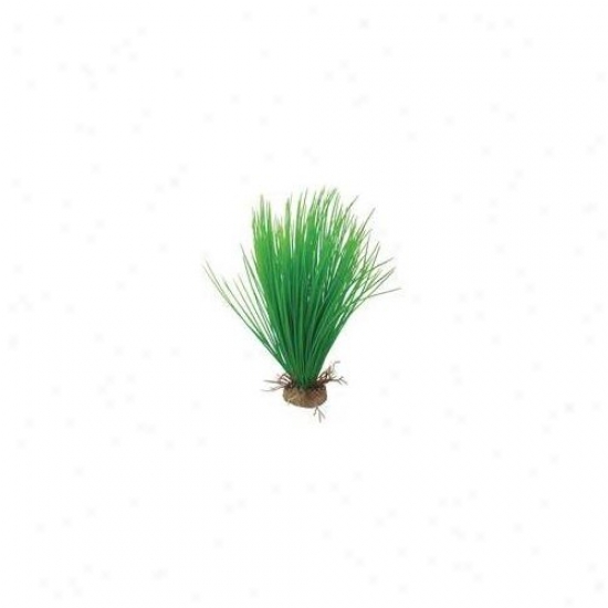 Pure Aquatic Natural Elements Hairgrass Aquarium Ornament In Lawn