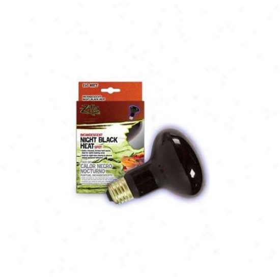 R-zilla Srz100009931 Boxe dNight Spot Heat 150 Watt - Black