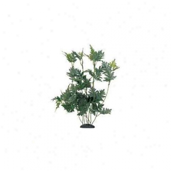 Rd Hagen Pp193 Marina Hygropphila Diformis, 12 Inch Silk Decorative Plant