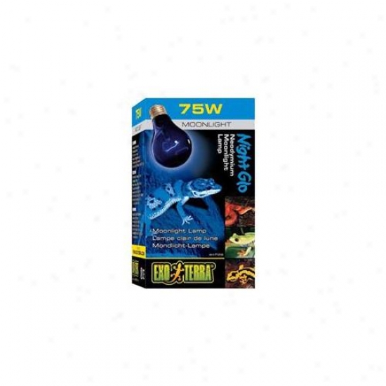 Rc Hagen Pt2130 Exo Terra Night-glo Moonlight A19 Lamp, 75w