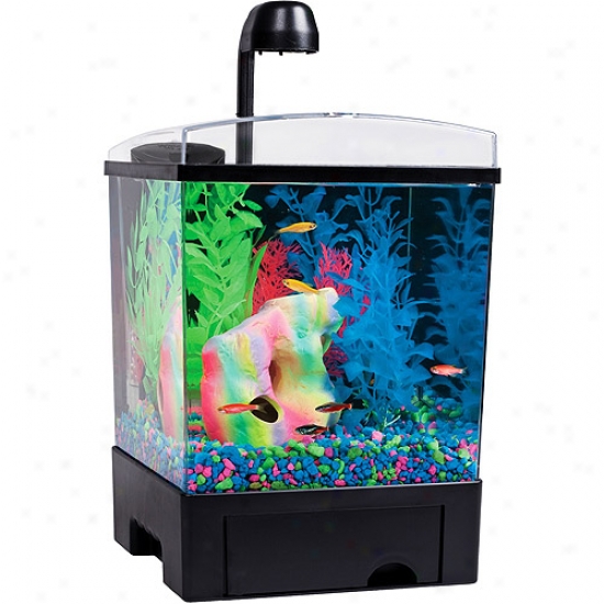 Tetrra Glofish Aquarium Kit, 1.5 Gallons