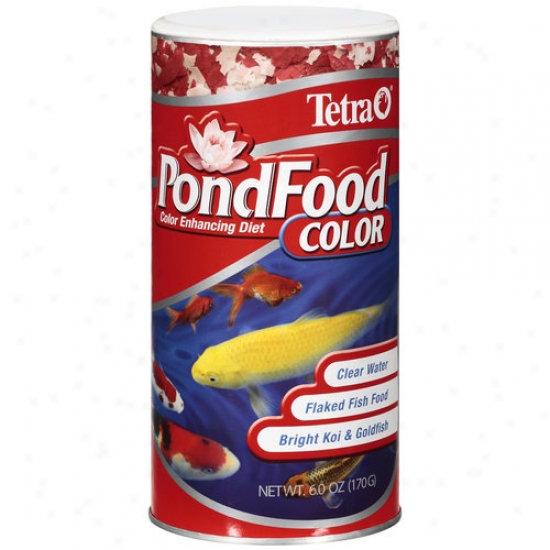 Tetra Pondfood Color Enhancing Diet Flaked Fish Food, 6 Oz
