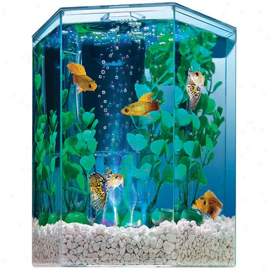 United Angry mood Cluster Tetra - Bubbling LedH exagon Kit 1 Gallon - 29040-00
