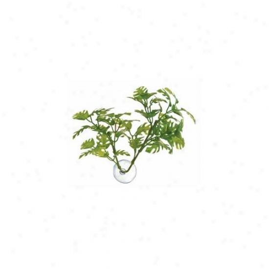 Zoo Med Laboratories - Window Leaf Betta Plant - Bp-25