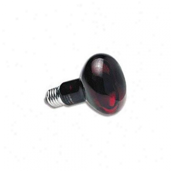 Zoo Med Labs 850-33150 Z0o Med Red Nocturnal Infrared Heat Lamp 150 Watt Bulb For Reptiles