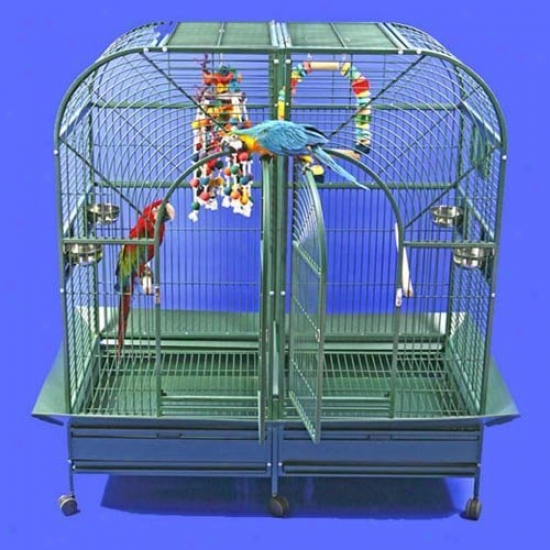 A&amp;e Cage Co. Dome Top Style Double Macaw Bird Cage 6432