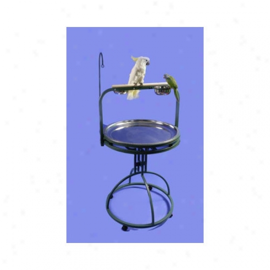 A&e Cage Co. Deluxe Bird Play Stand With Wood Perch