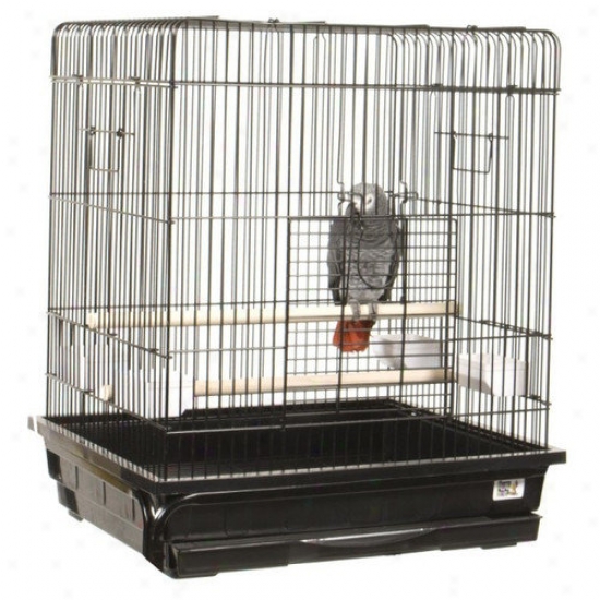 A&e Cage Co. Flat Top Small Bird Cage