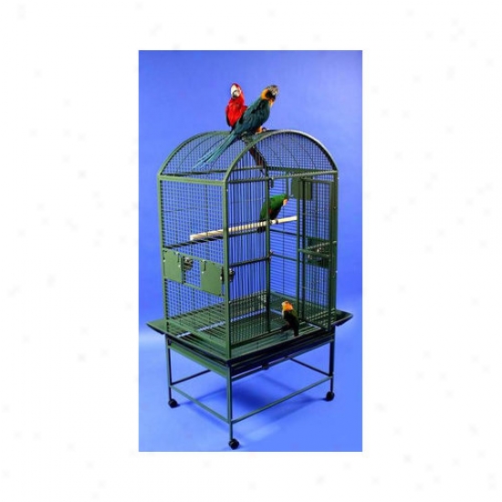 A&e Cage Co. Large Dome Top Bird Cage