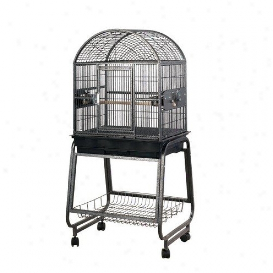 A&e Cage Co. Medium Dome Top Style Bird Cage And Stand