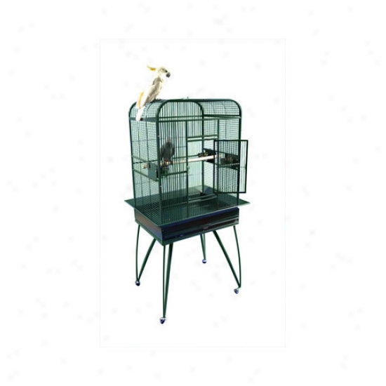 A&e Cage Co. Opening Flat-top Bird Cage With Removable Base