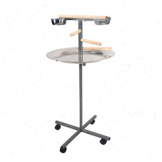 A&e Cage Co. Round Play Stand With Wooden Steps