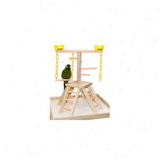 Ciatec Pb 20 20 Inch Pyramid With Base