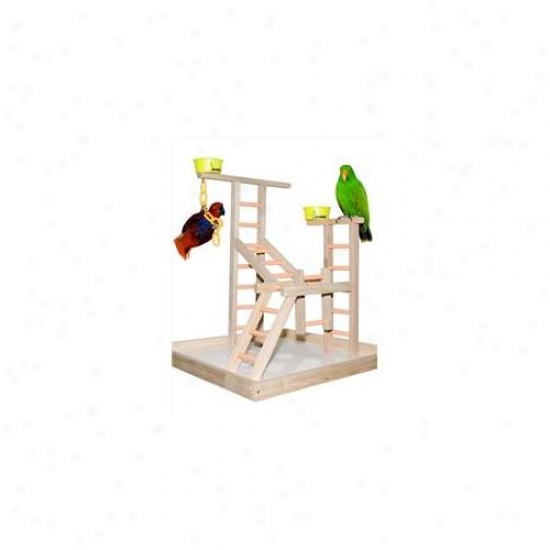 Caitec Pl 20 20 Inch Playland With 2 Cups And Chains
