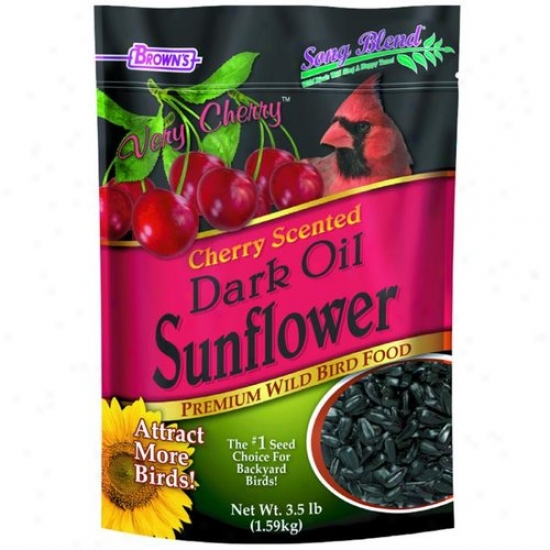 Fm Browns 41236 Dark Oil Sunflower Premium Wild Bird Food