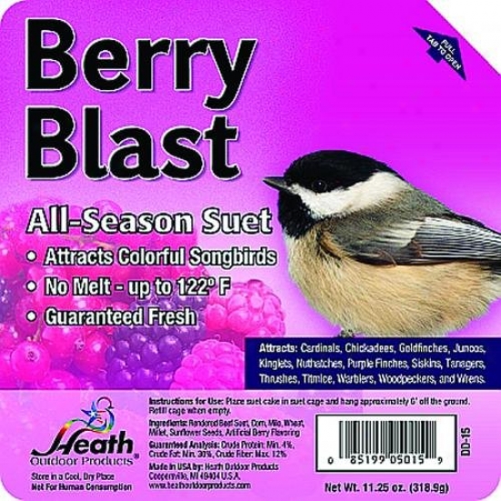 Heath Dd-15 Suet Cake, Berry Blast