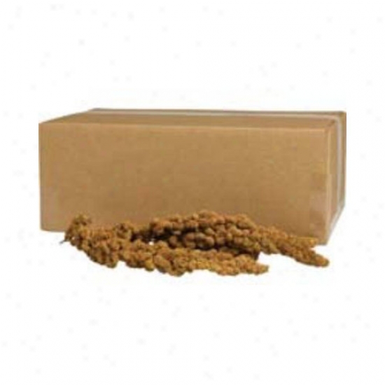Kaytee Products Wild Bird Gold Spray Millet Treat