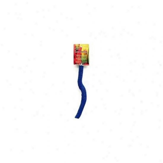 Parrotopia Sps Sandy Perch 12 Inch Small . 75 Inch To 1 Inch