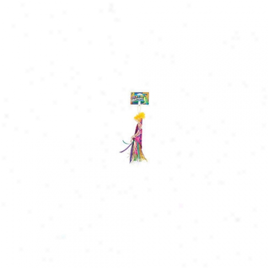 Prevue Hendryx Caylpso Creations Salsa Medium Bird Toy