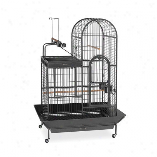 Prevue Hendryx Deluxe Parrot Cage With Playtop