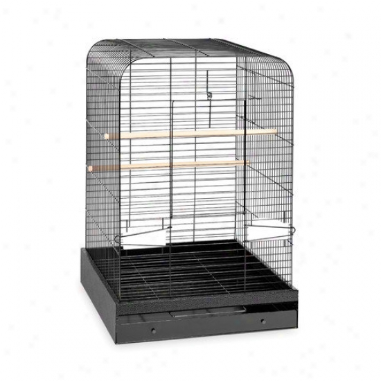 Prevue Hendryx Madison Bird Cage