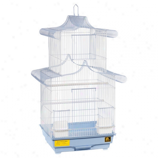 Prevue Hendryx Pagoda Cockatiel Cage