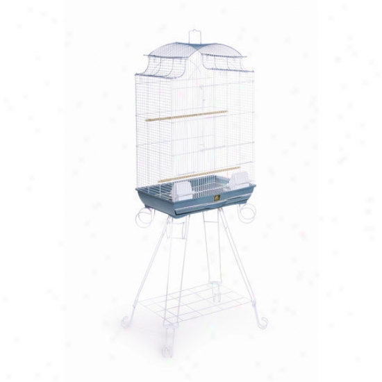 Prevue Hendryx Pagoda Top Bird Cage In Azure / White
