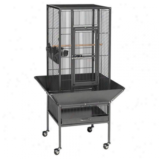 Prevue Hendryx Parkway Wrought Iron Bird Cage