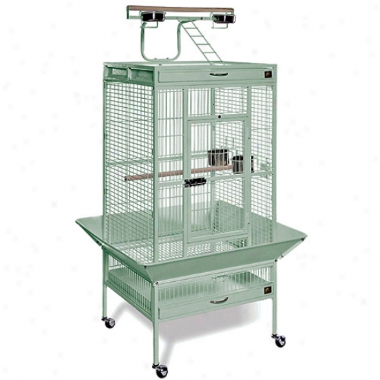 Prevue Hendryx Pp-3152sage Medium Wrought Iron Select Bird Cage - Sage Green