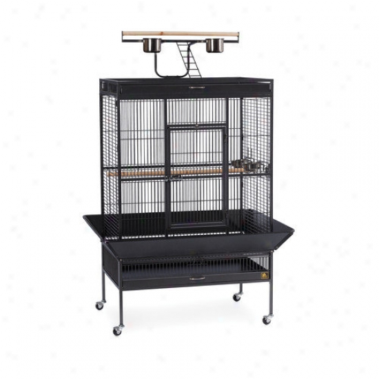 Prevue Hendryx Signature Seires Select Wrought Iron Cage - 36x24x66